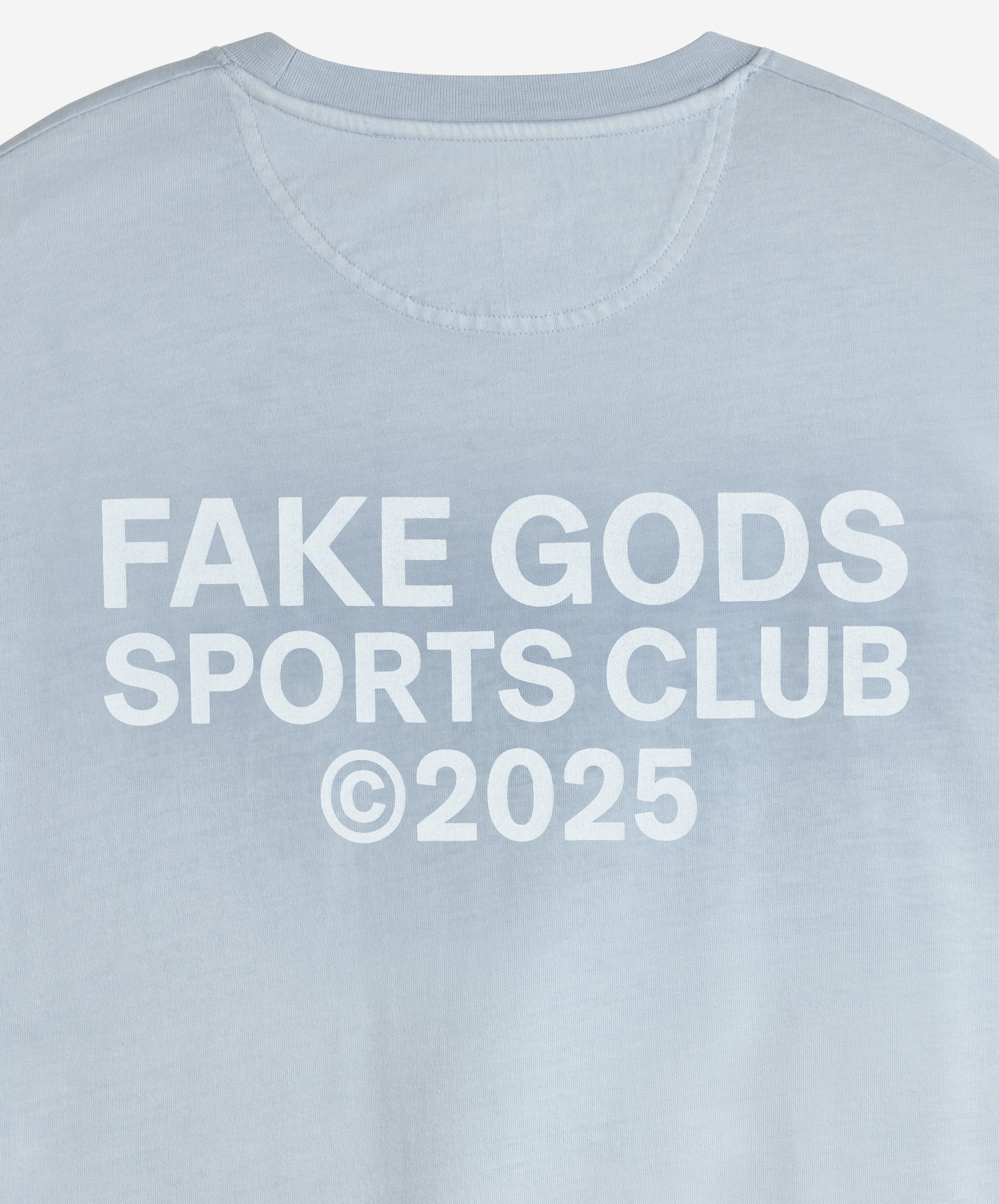 PERFORMANCE SPORTS TEE BLUE