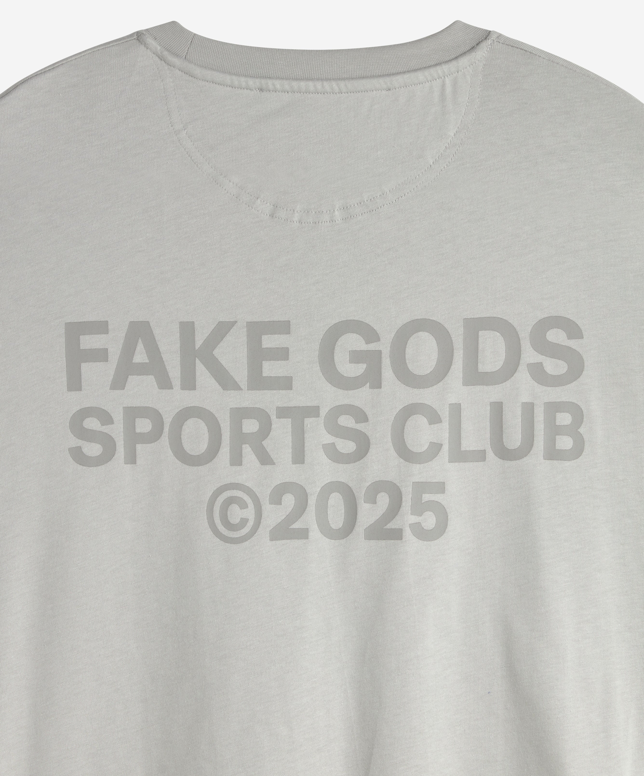 PERFORMANCE SPORTS TEE GREY