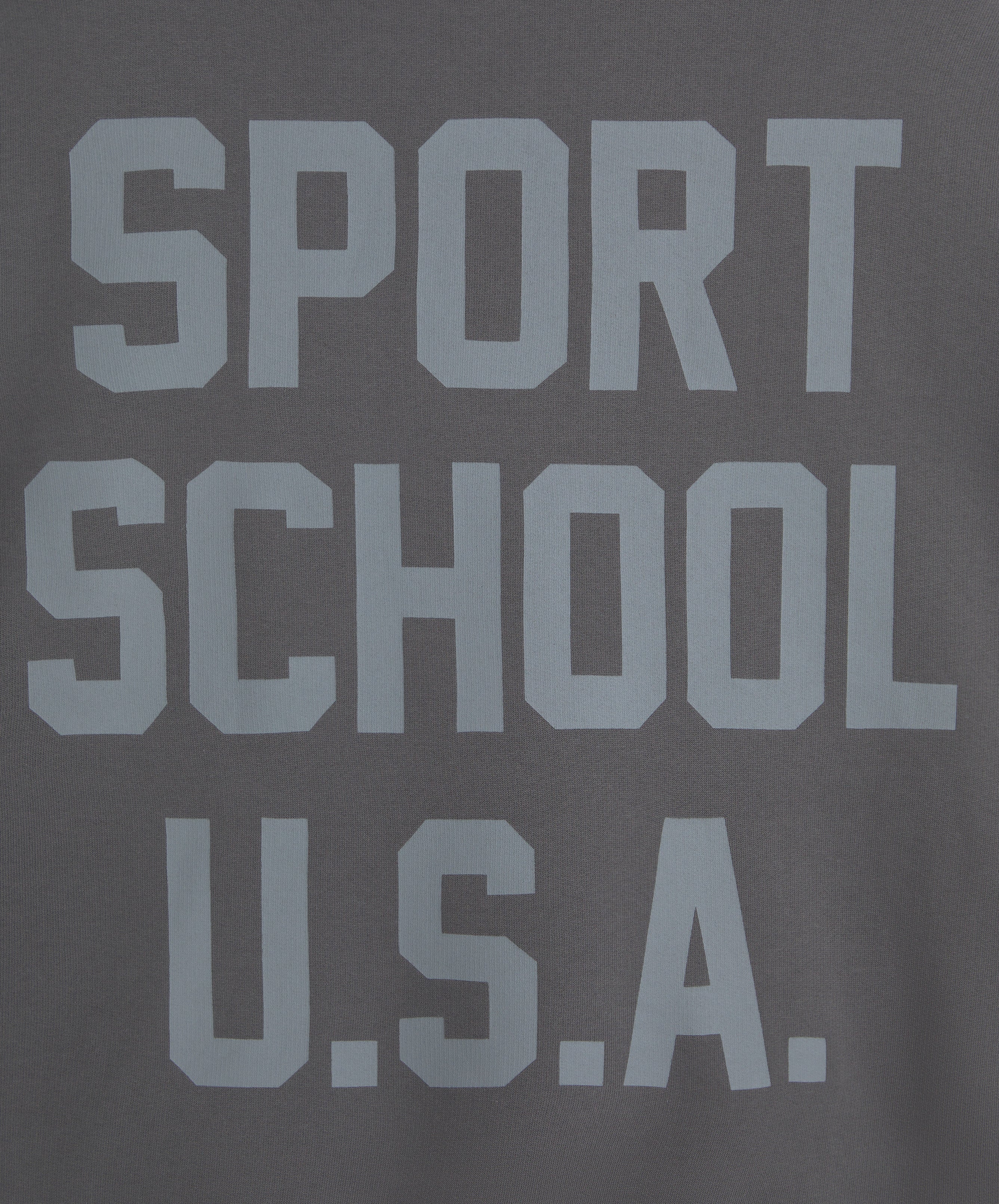FG SCHOOL USA HOODIE DARK GREY