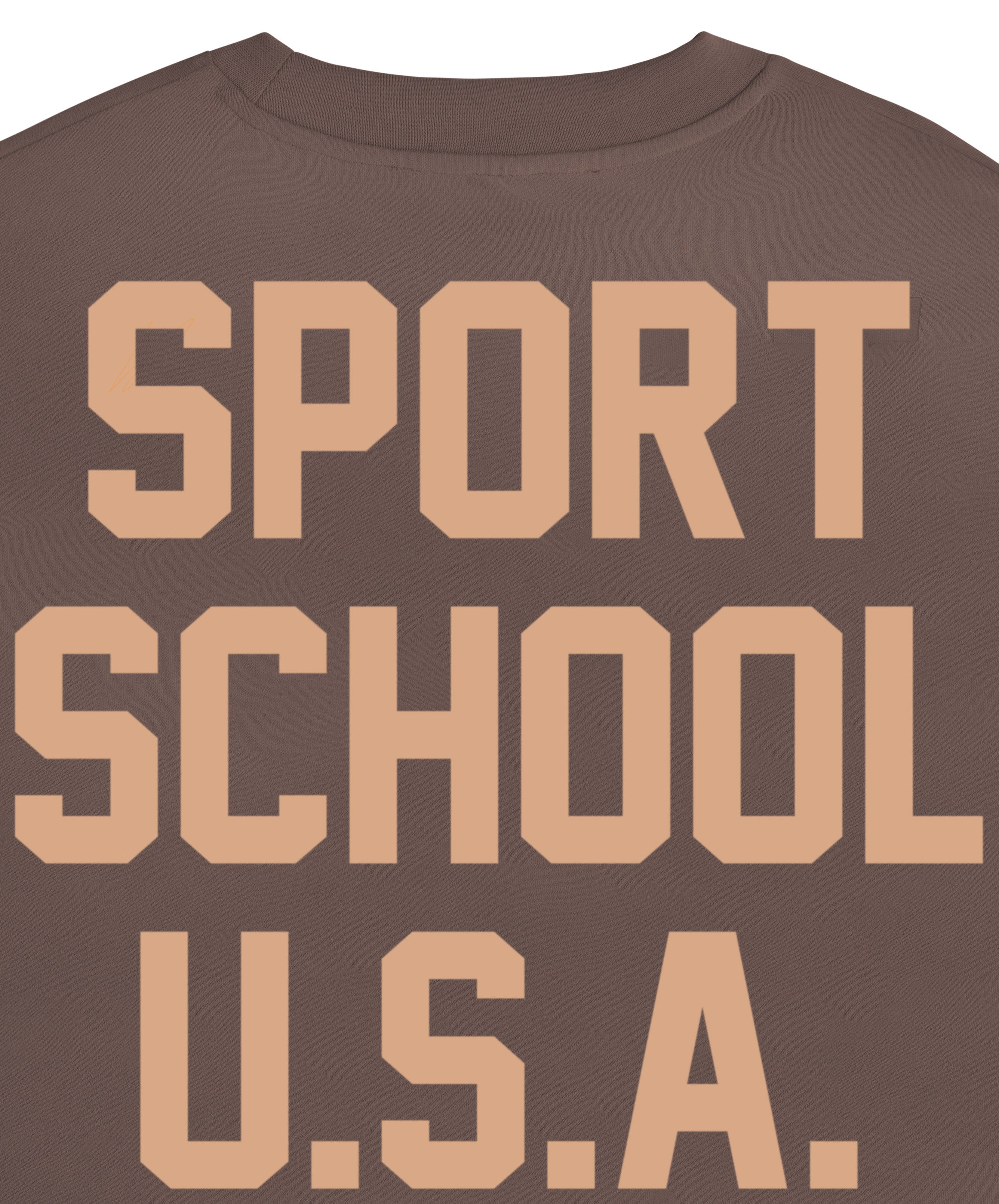 SPORTS SCHOOL USA BOXY TEE BROWN